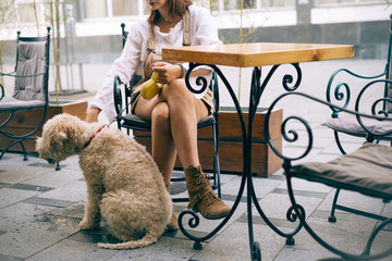 Woman in cafe bar with dog - obrazy, fototapety, plakaty