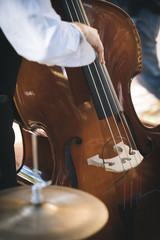 Detail of a double bass player