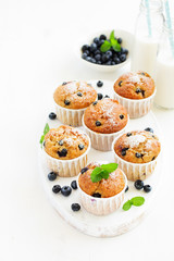 Oat muffins with blueberries on a dark background.