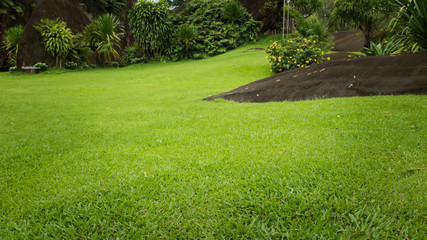 Green grass garden