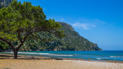 Beautiful green trees on the azure seashore. Turkey