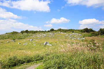 四国カルスト　天狗高原の風景