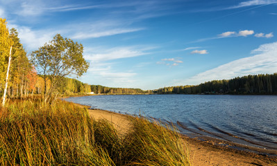 осенний пейзаж на берегу озера с лесом и камышом, Россия, Урал  © 7ynp100