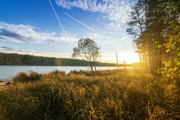 осенний пейзаж на берегу озера с лесом и камышом, Россия, Урал  © 7ynp100