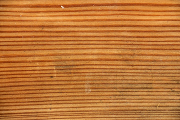Abstract pine-tree texture for background. Wood texture