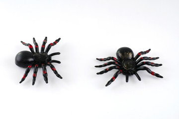 Toy spider for halloween decoration isolated on white background
