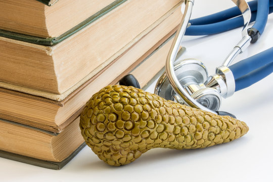 Photo study of pancreas gland, anatomy, structure, function in medicine school, college, university. Model of pancreas is located next to pile of medical books against backdrop of stethoscope
