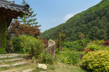 mountain view with asian garden