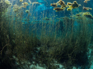 source of river sakarya