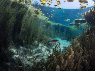 source of river sakarya