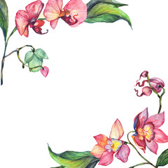 Wildflower orchid flower frame in a watercolor style. Full name of the plant: orchid flower. Aquarelle wild flower for background, texture, wrapper pattern, frame or border.