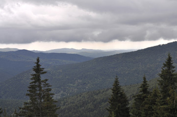 Naklejka premium Mountains covered with green trees