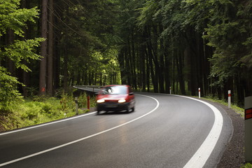 Summer winding road in forest with approaching car