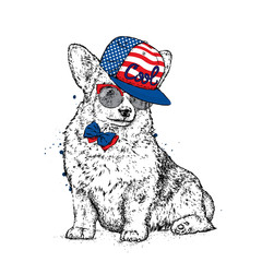 Cute puppy in a cap and glasses. Vector illustration for a postcard or a poster, print for clothes. Pedigree dog. Welsh Corgi.