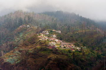 Fototapeta premium houses on the steep slopes of the city of Funchal, capital of the Portuguese island of Madeira