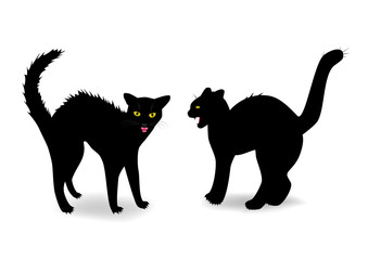 two evil cats bared teeth isolated on the white background