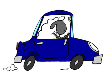 Office sheep driving car