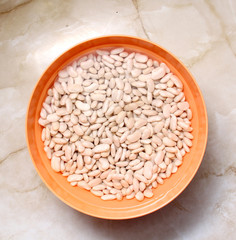 white kidney beans in a plastic bowl filled with water