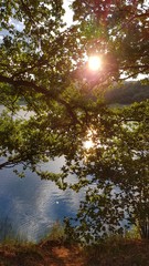 Obraz premium Sonnenstrahlung durch Baumkrone am See