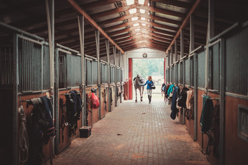 Middle-aged woman with her horse in a stall - obrazy, fototapety, plakaty