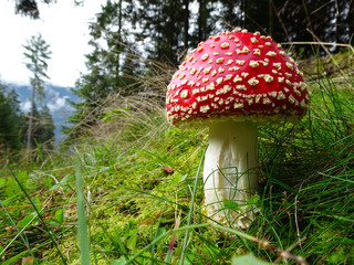 Kapelle in den Bergen - Chapel in the mountains