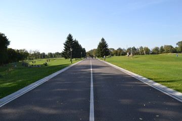 Fototapeta premium road in park