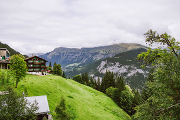 Swiss Alps