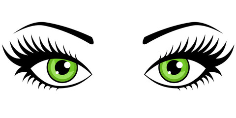Female green eyes isolated on white background.