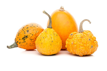 set of small pumpkins isolated on white background