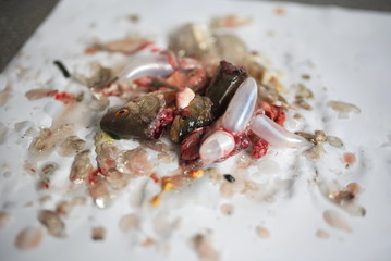 Dead Fish Heads