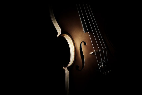Violin close up isolated on black