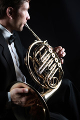 French horn player. Classical musician playing horn - obrazy, fototapety, plakaty