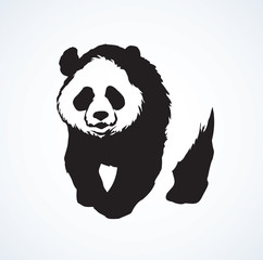 Panda. Vector drawing