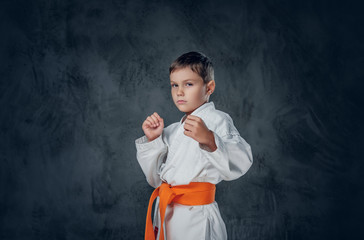 Preschooler boy dressed in a white karate kimono. © Fxquadro
