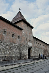 Lviv. View on old town.