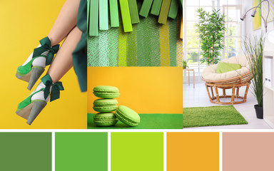 Stylish collage with green color palette