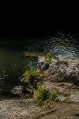 riverbank with dark water