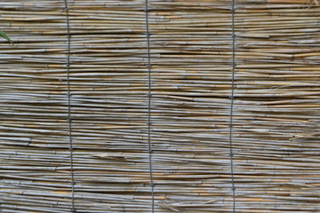 bamboo surface texture