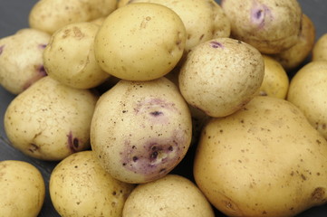 potatoes on a wooden table