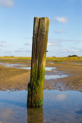 Weathered pole on mud flat at ebb tide