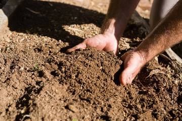 Man holding soil in garden