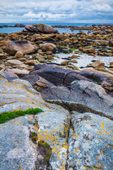 Moss stone and coastline in Brittany (Bretagne), France