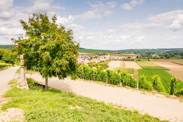 Wine-growing district in Franconia