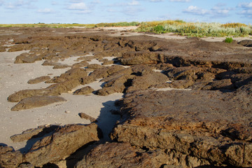 Erosion of clay on the shore of a mudflat