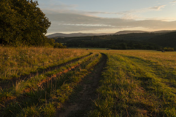 sunshine landscape in nature