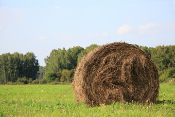 View of farm field showing bales of hay