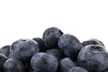 blueberries isolated close up