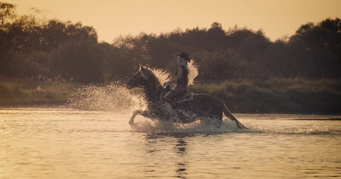 Slow motion 240fps shot of cowboy girl riding horse in water of sunset river