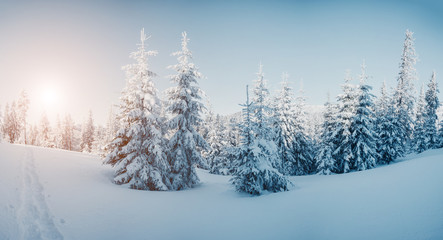 beautiful winter landscape