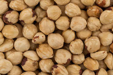 Hazel nuts close up